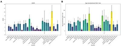 Type 2 diabetes attributable to ambient particulate matter pollution: a global burden study from 1990 to 2019